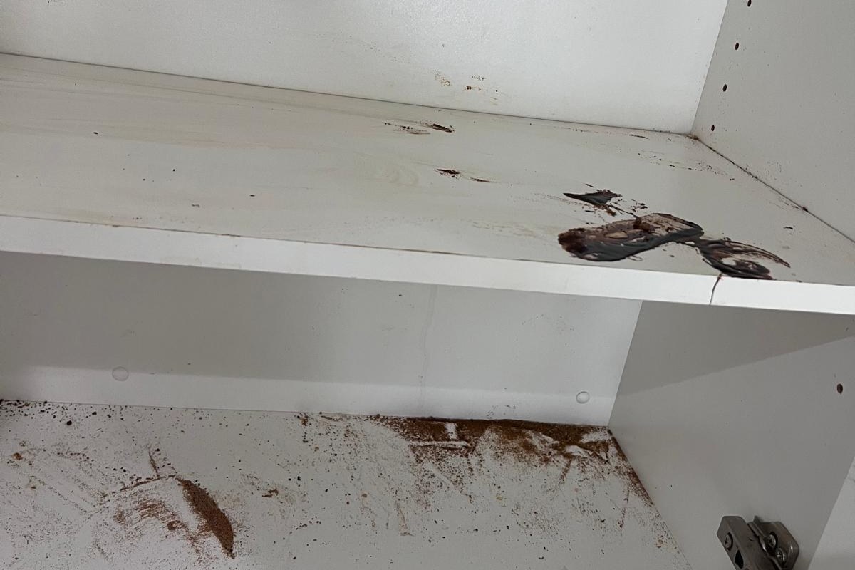 Cabinet stains and grease marks in a Vancouver rental kitchen before move-out cleaning
